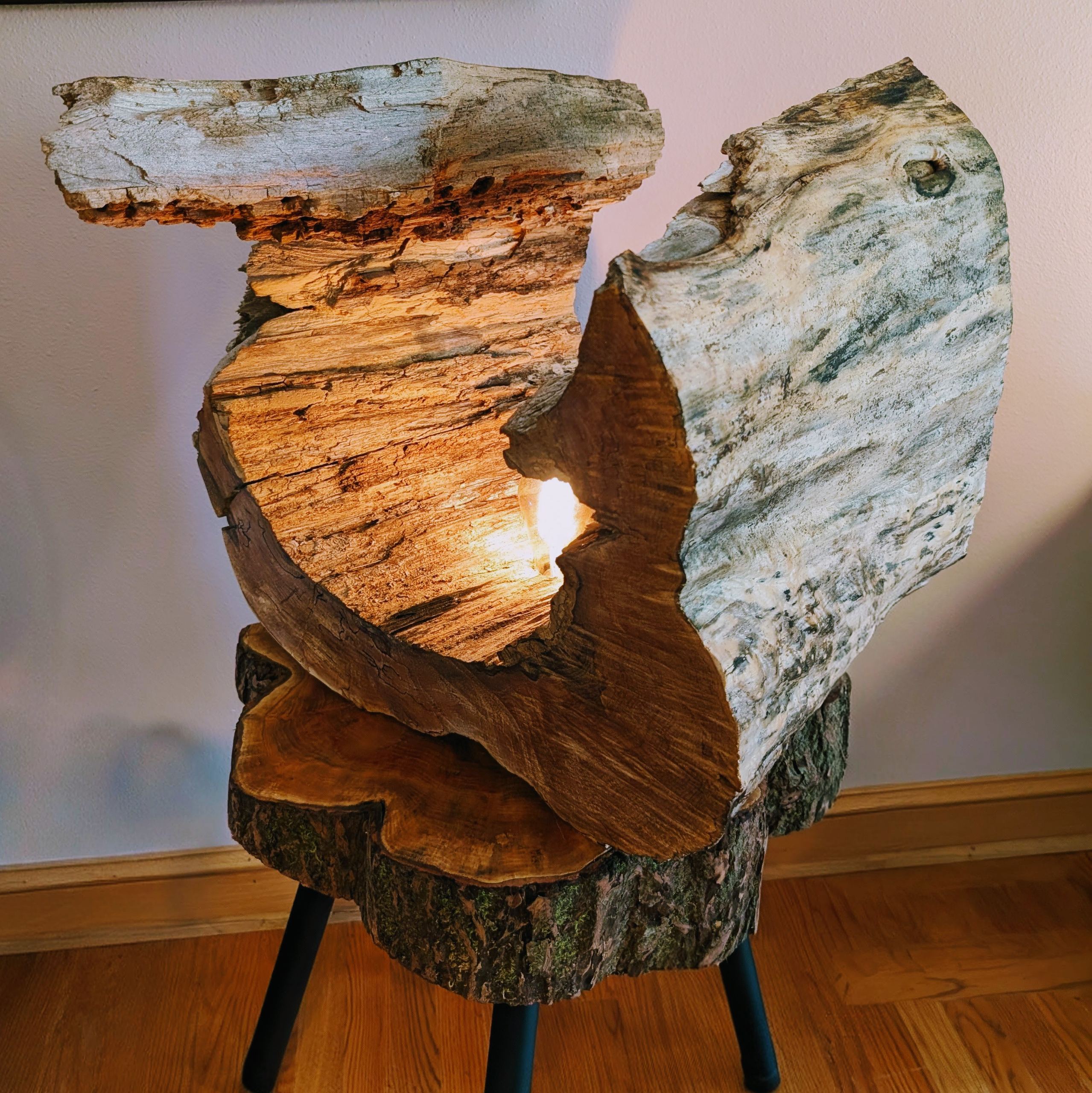 Chico Spring Collection